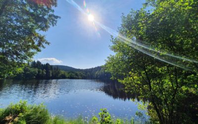 L’importance de la respiration et le rôle du système nerveux sympathique et parasympathique.