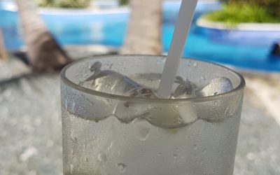 L’Importance de Déconnecter Pendant l’Été